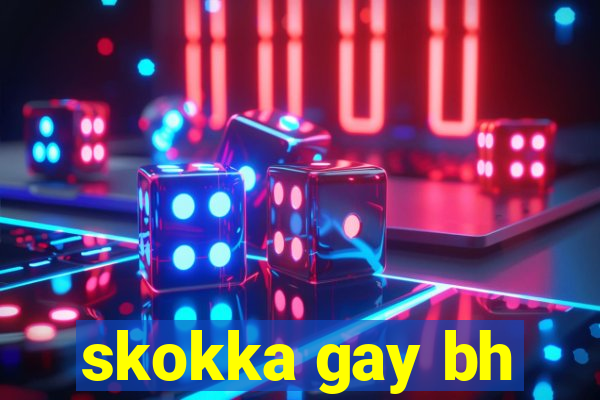 skokka gay bh